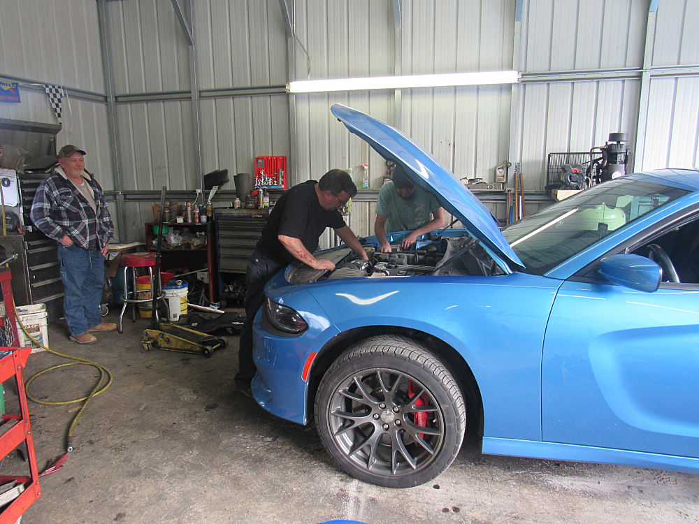 Cohutta Wilderness Trail